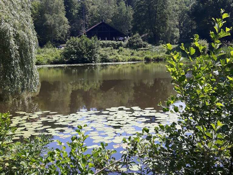 Fischerhütte bei den Teichen Routes for Walking and Hiking Komoot