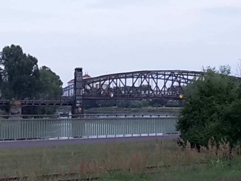 fahrrad mitte magdeburg
