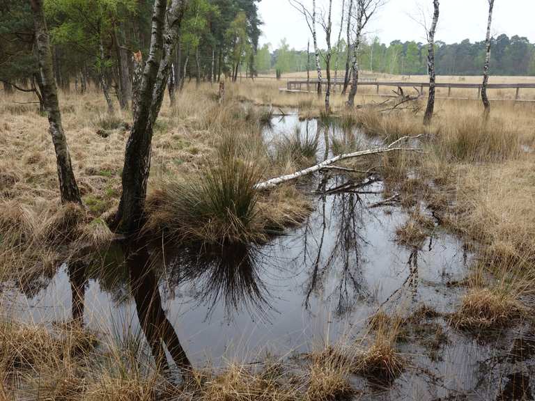 Moorerlebnispfad Hamminkeln, Wesel Wanderweg Komoot