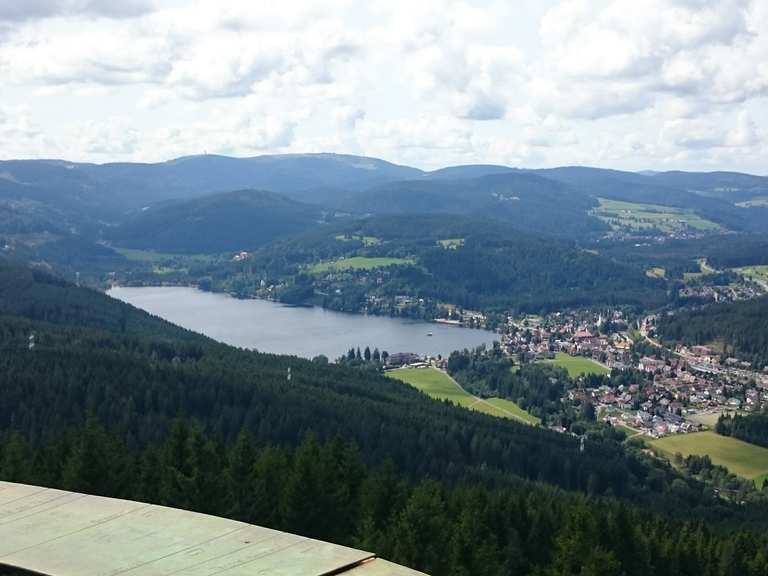 Hochfirstturm und Rasthaus Hochfirst Wanderungen und Rundwege komoot