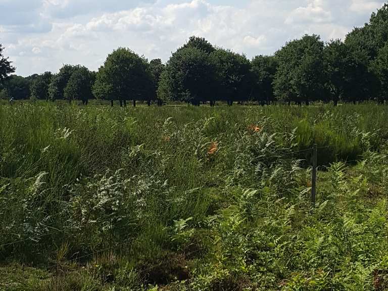 Wahner Heide Rösrath, RheinischBergischer Kreis