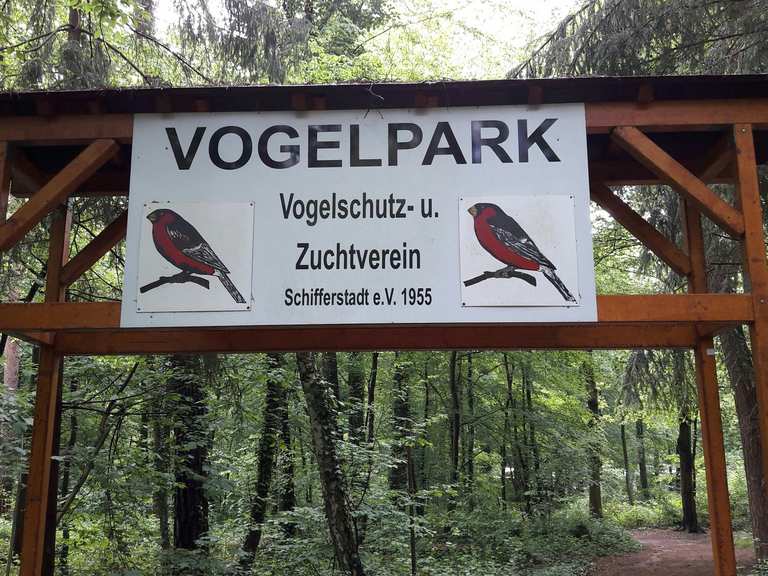 Vogelpark Schifferstadt: Wanderungen und Rundwege | komoot