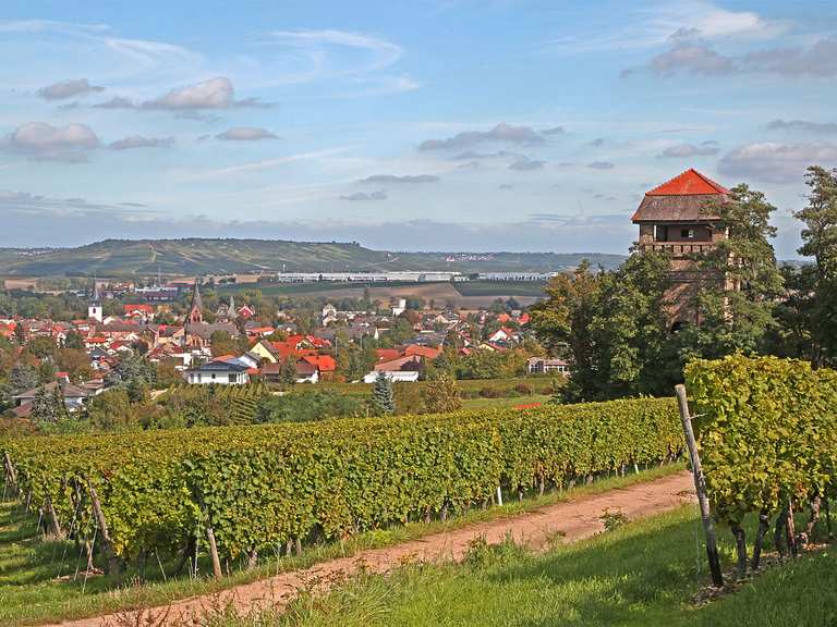 Wöllstein. Radtouren und Radwege komoot