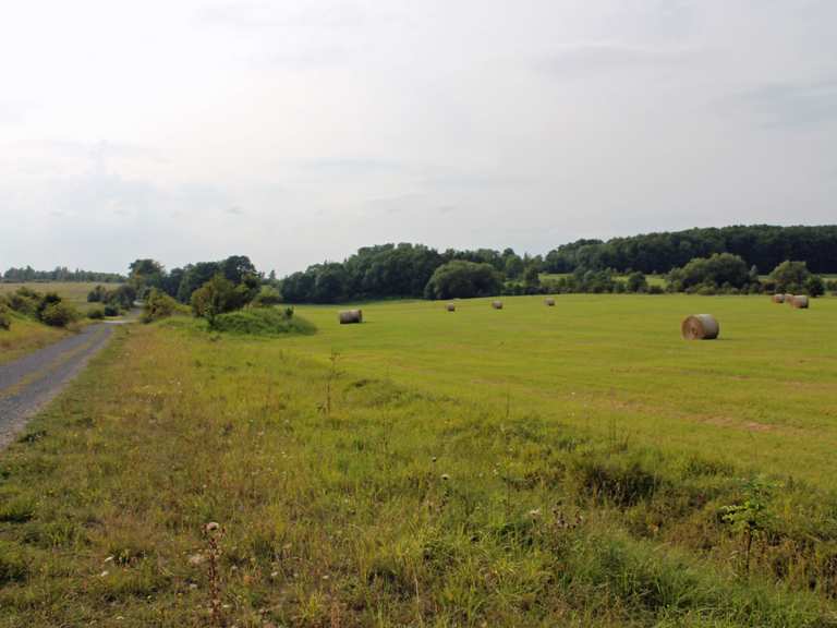Kerstlingeröder Feld (Naturschutzgebiet im Göttinger Stadtwald) Radtouren und Radwege komoot
