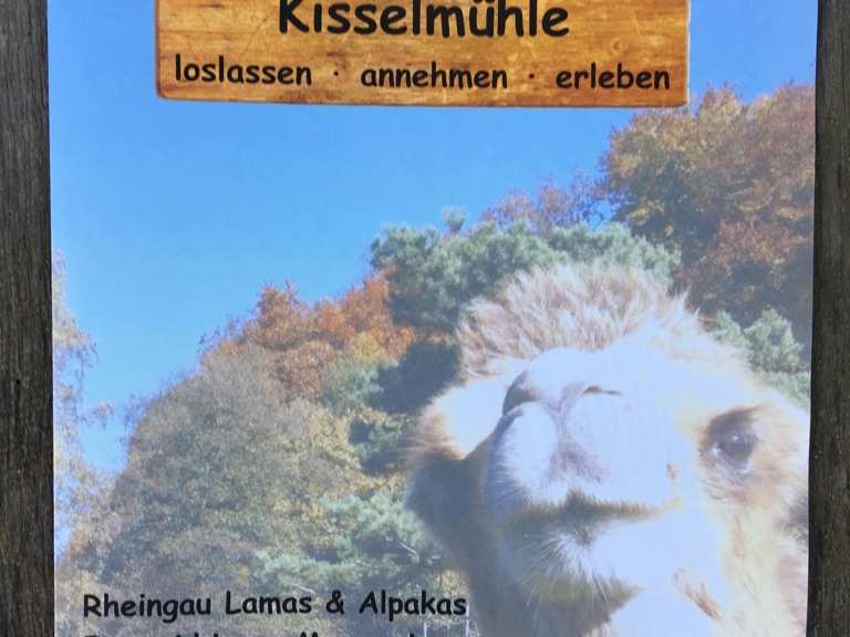 Kisselmühle Wanderungen und Rundwege komoot