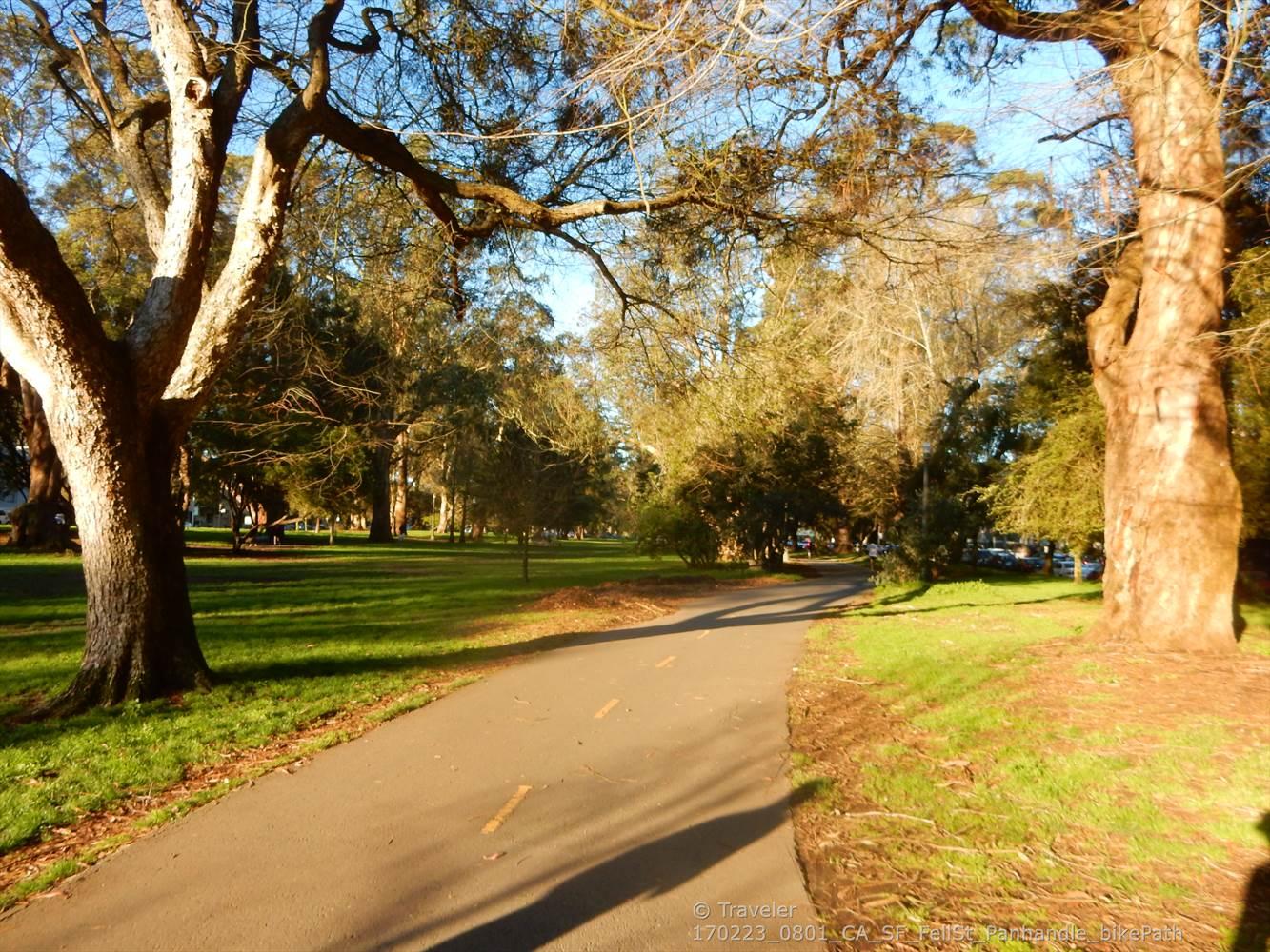 Sunny park path winding through green grass and large trees with long shadows.