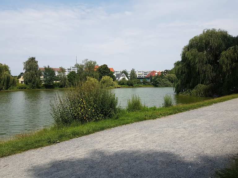 Obersee Wanderungen und Rundwege komoot
