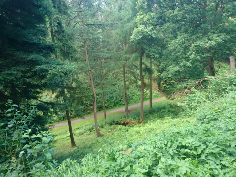 Ashton Court trail centre - Path to and from the grotto ...