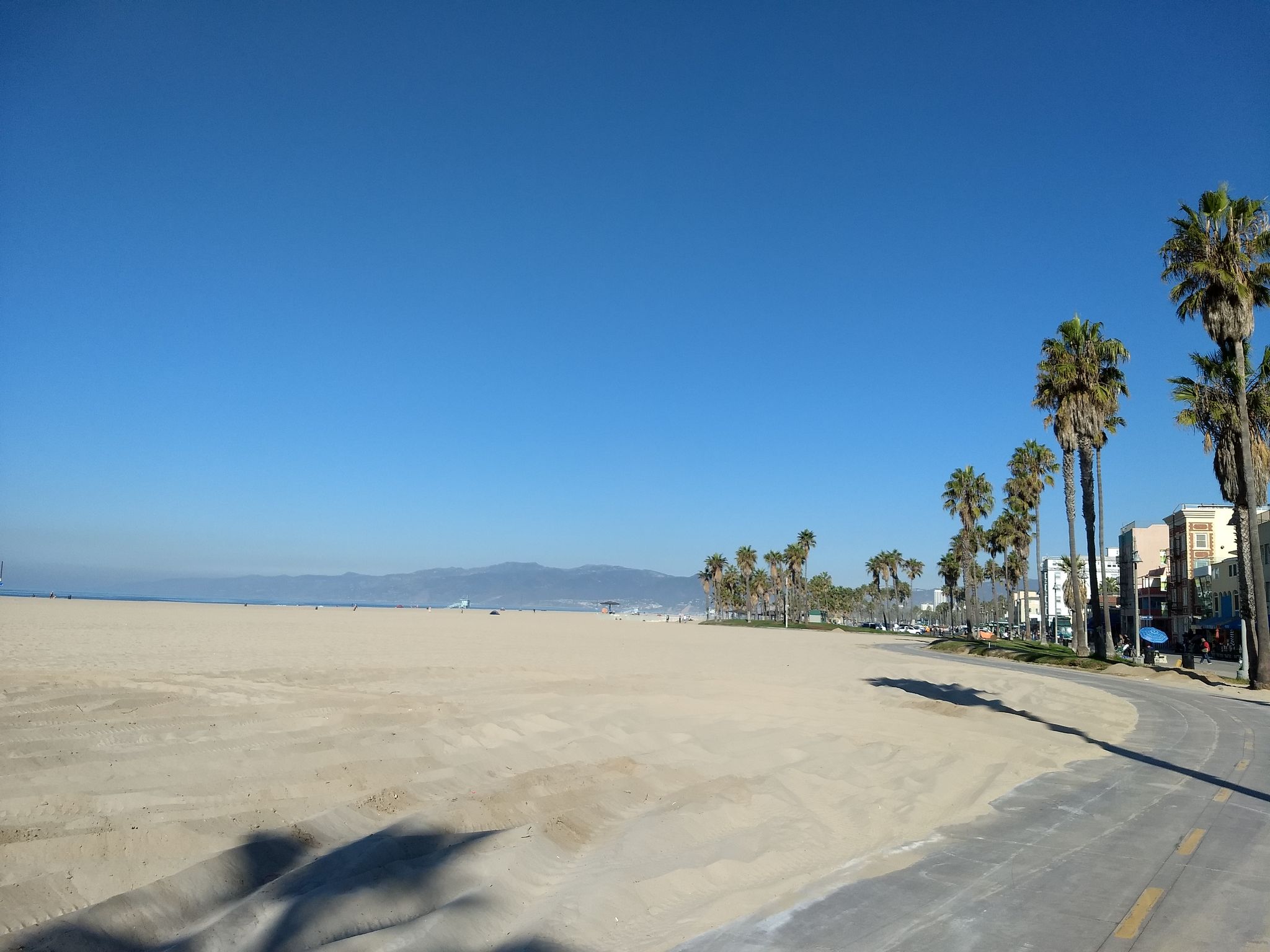 Wide sandy beach, palm trees, and distant mountains under a clear sky. - Venice Beach Bike Path – Venice Beach Boardwalk loop from Downtown Santa Monica