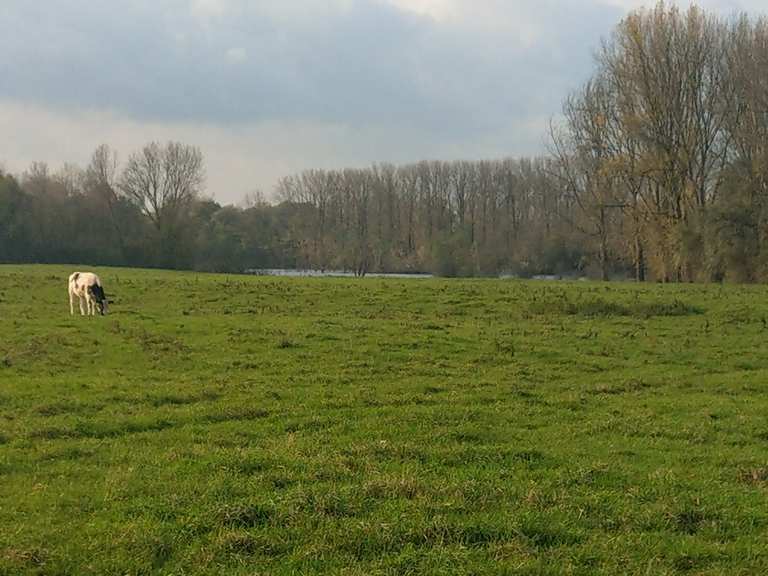 darf man auf die bislicher insel mit dem fahrrad