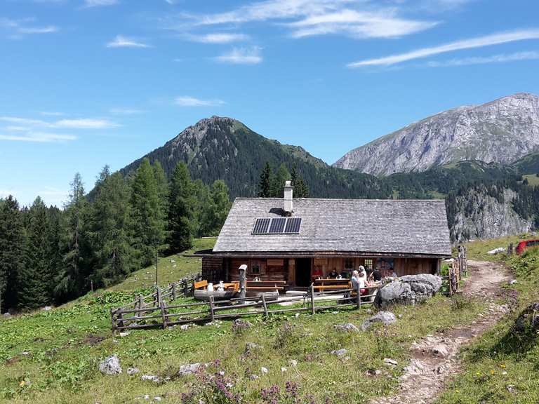 Priesbergalm Wanderungen und Rundwege komoot