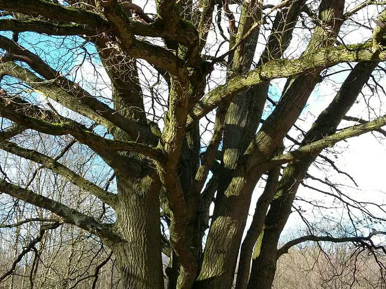 Naturschutzgebiet Höltigbaum Hamburg, Deutschland Wandertipps