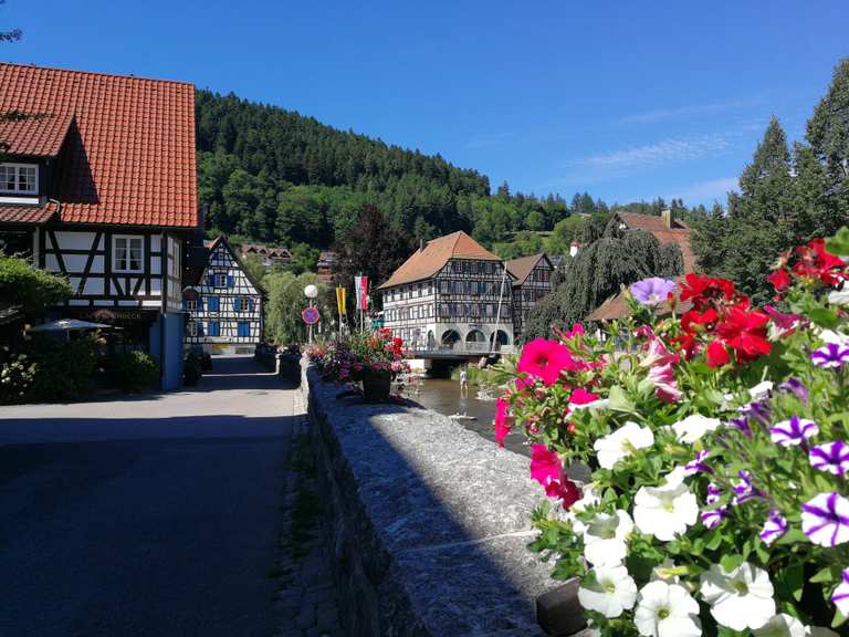 Schiltach Altstadt Wanderungen und Rundwege komoot