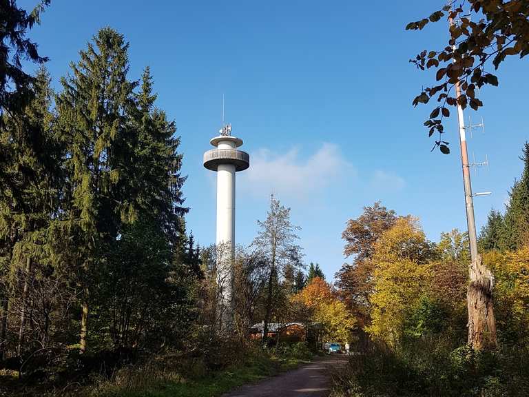 Annaturm im Deister Wanderungen und Rundwege komoot