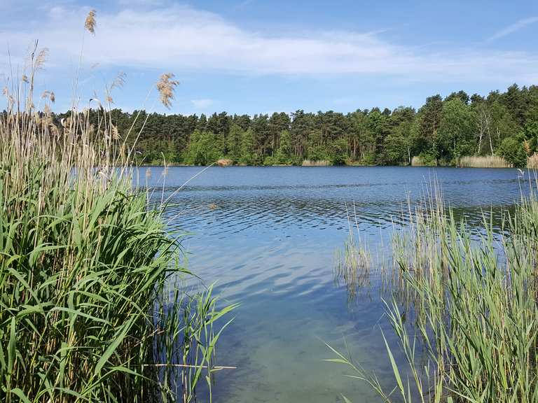 Blick über den See – Güldensee Runde von Groß Köris | Wanderung | Komoot
