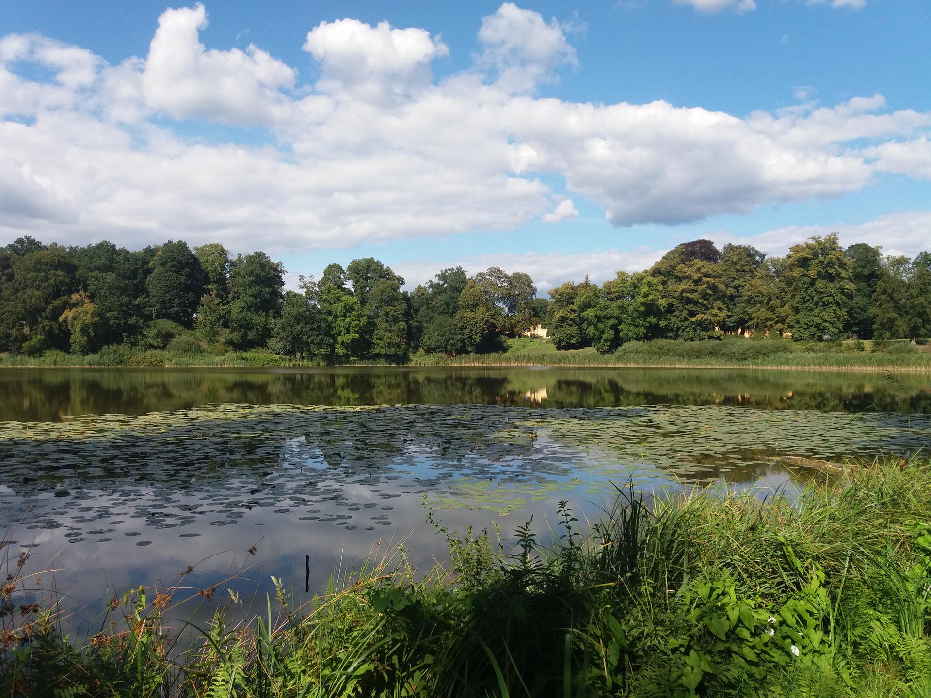 De mooiste 20 kastelen op de Fläminger Heide | Komoot, image size:1920x1440