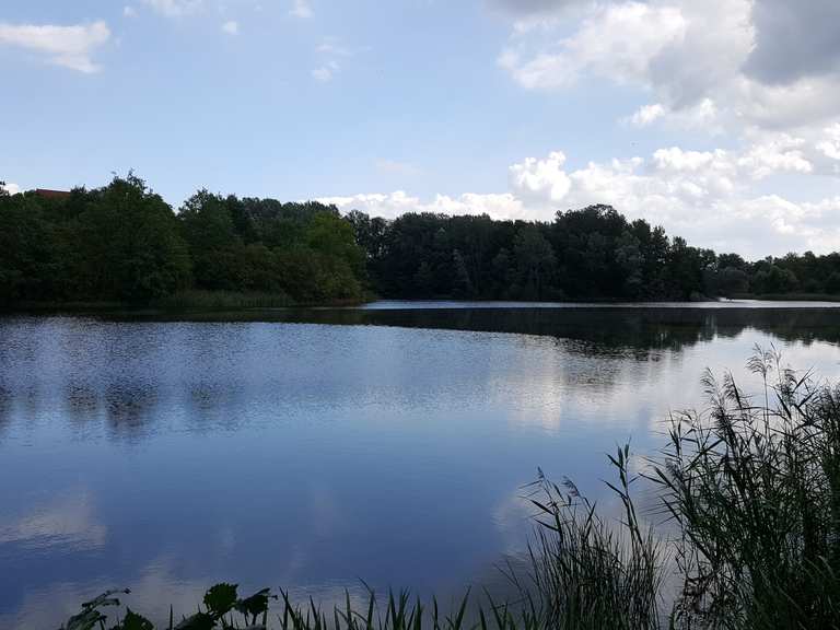 Hönower Haussee Wanderungen und Rundwege komoot