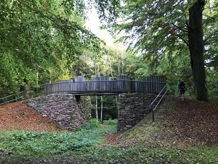 Ringwallanlage Wanderungen und Rundwege komoot