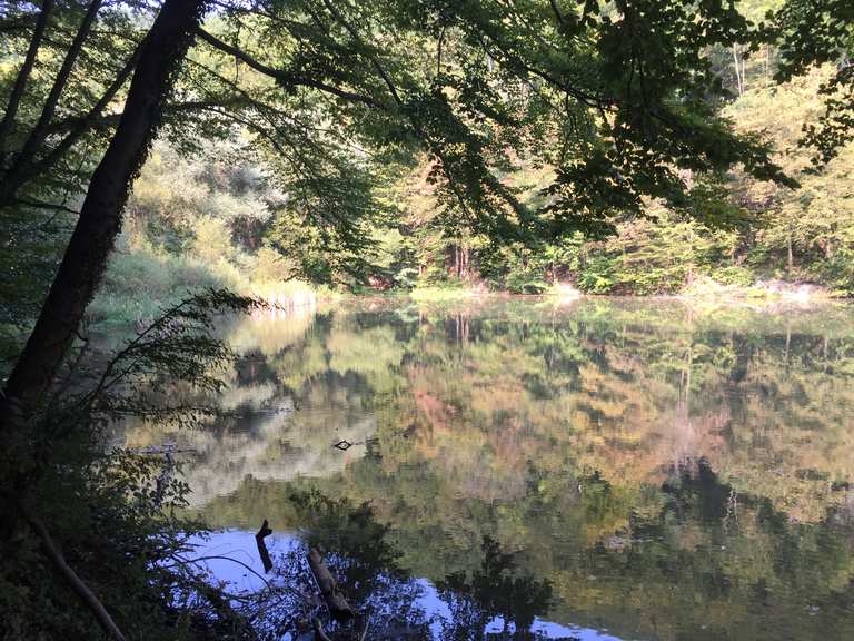 Hámoritó Wanderungen und Rundwege komoot