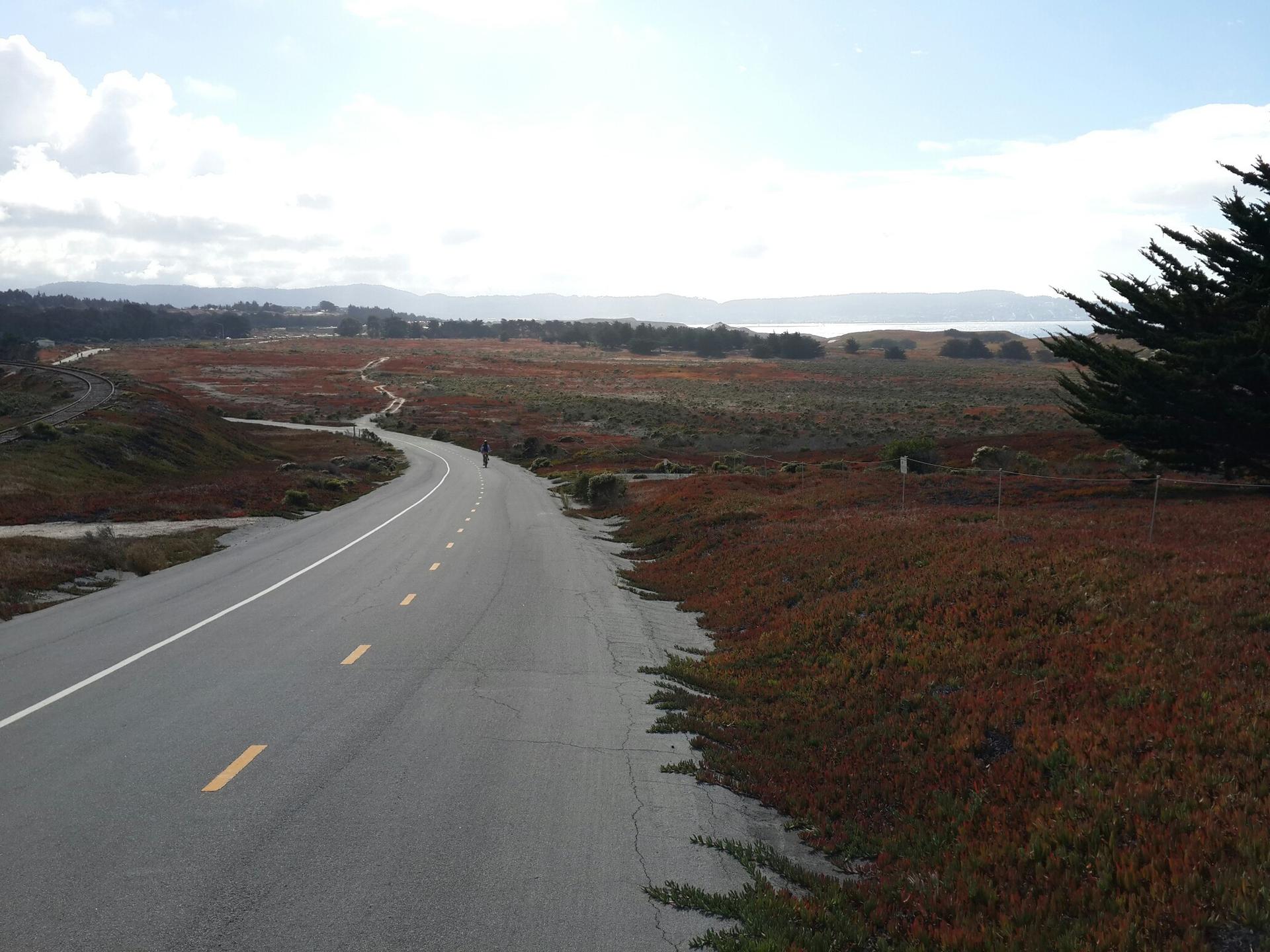 Paved road winding through coastal scrubland with distant ocean under a bright sky.
