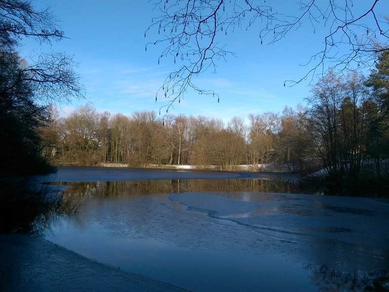 Donoper Teich Routes for Walking and Hiking Komoot