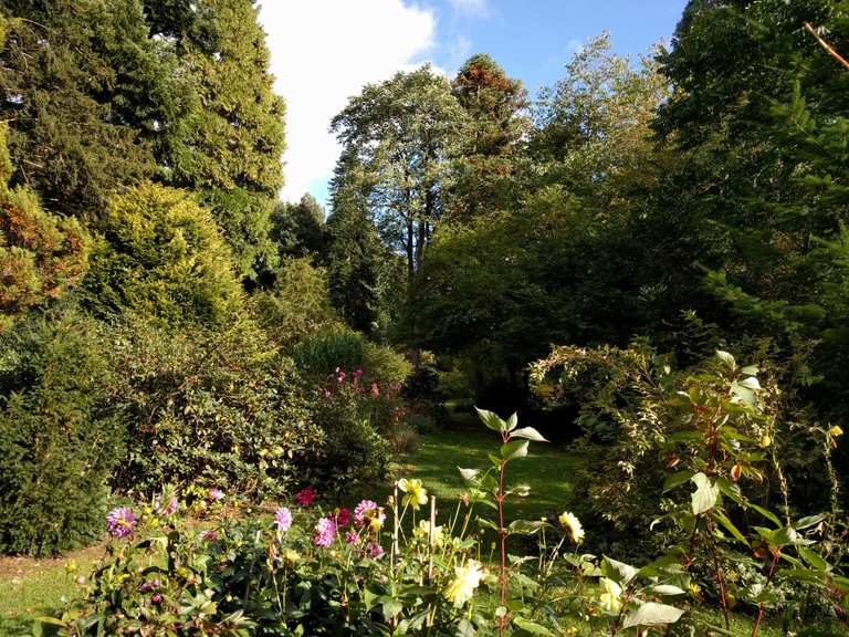 Botanischer Garten Loismann Ibbenburen Ibbenburen Steinfurt