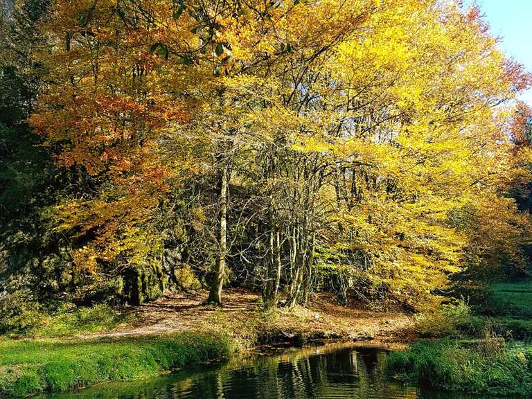 Teiche im Klumpertal Wanderungen und Rundwege komoot