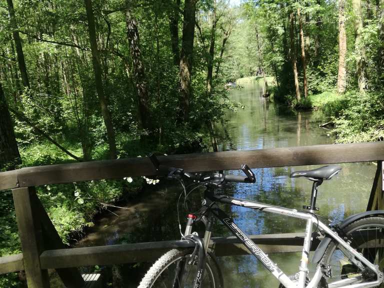 Gurkenradweg zwischen Lübbenau und Leipe Lübbenau