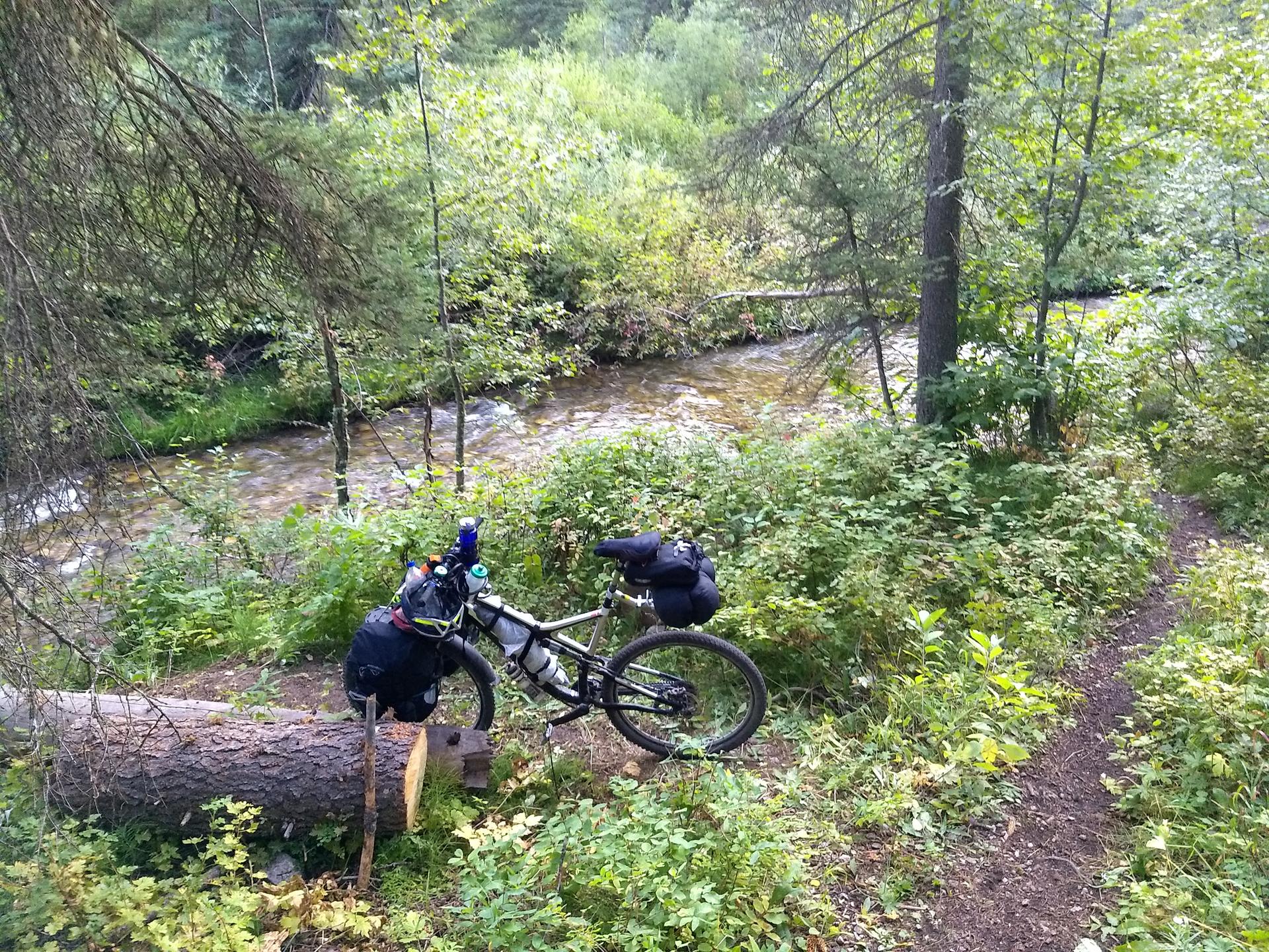 Loaded bikepacking bicycle parked beside a stream in a dense forest.