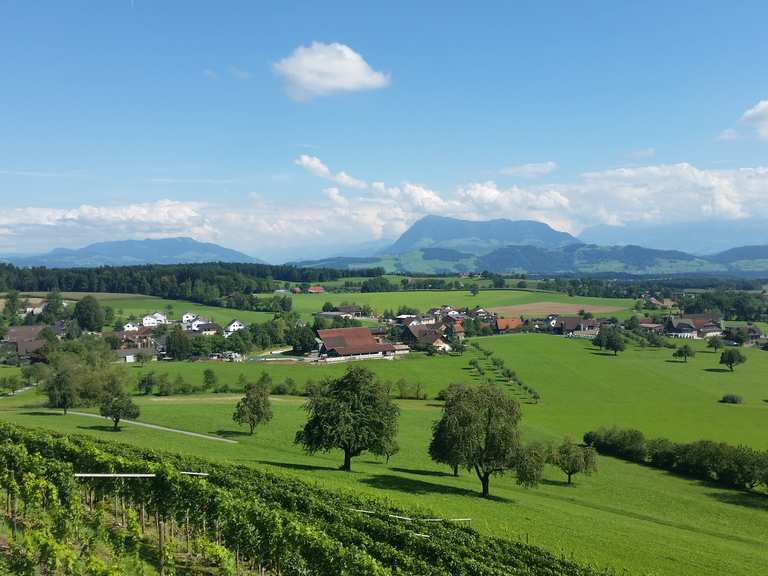 Aussicht Hohenrain - Mountain Bike Trails & Tracks | Komoot