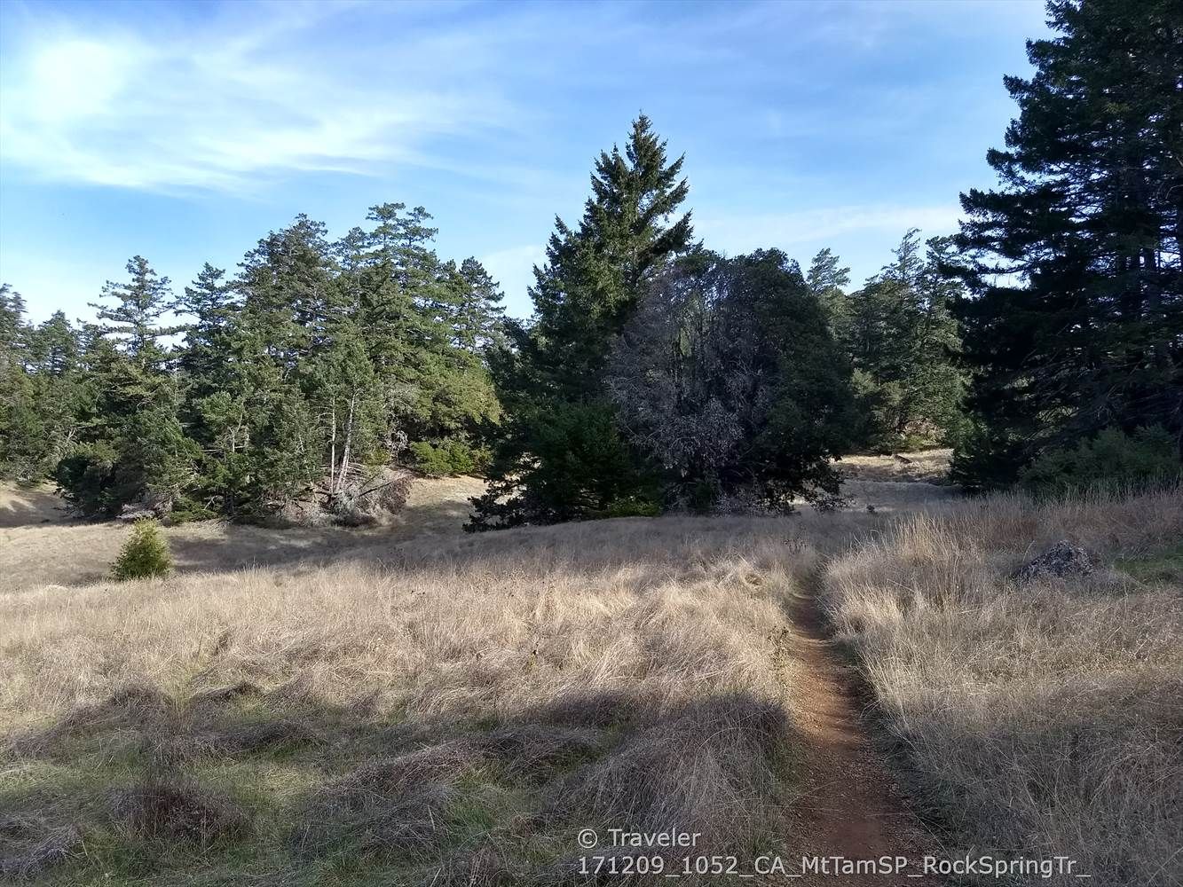 A narrow dirt path winds through a sunny, grassy field with trees. - Cataract, Kent and Helen Markt Trail Loop