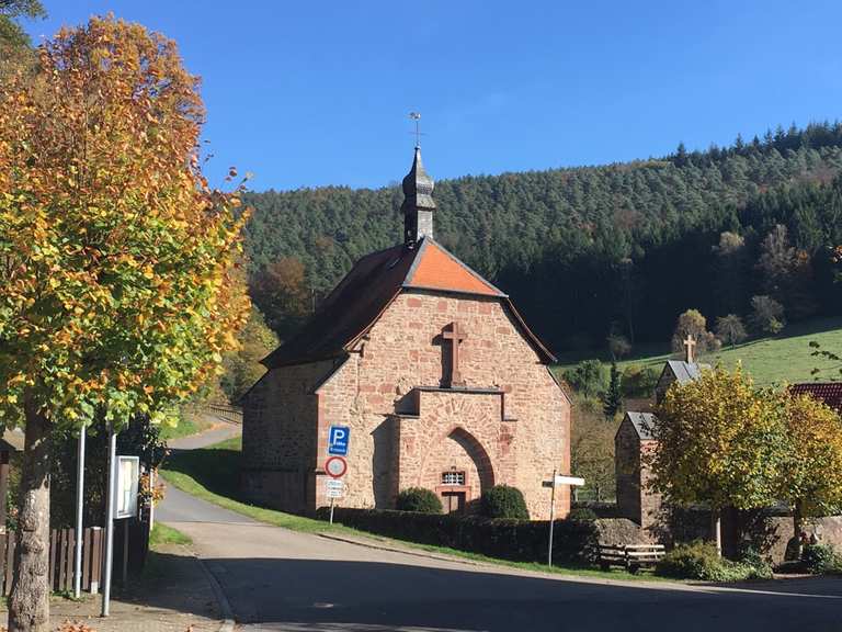 Quellkirche Schöllenbach: Wanderungen und Rundwege | komoot