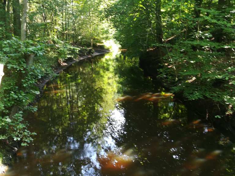 alsterwanderweg mit dem fahrrad