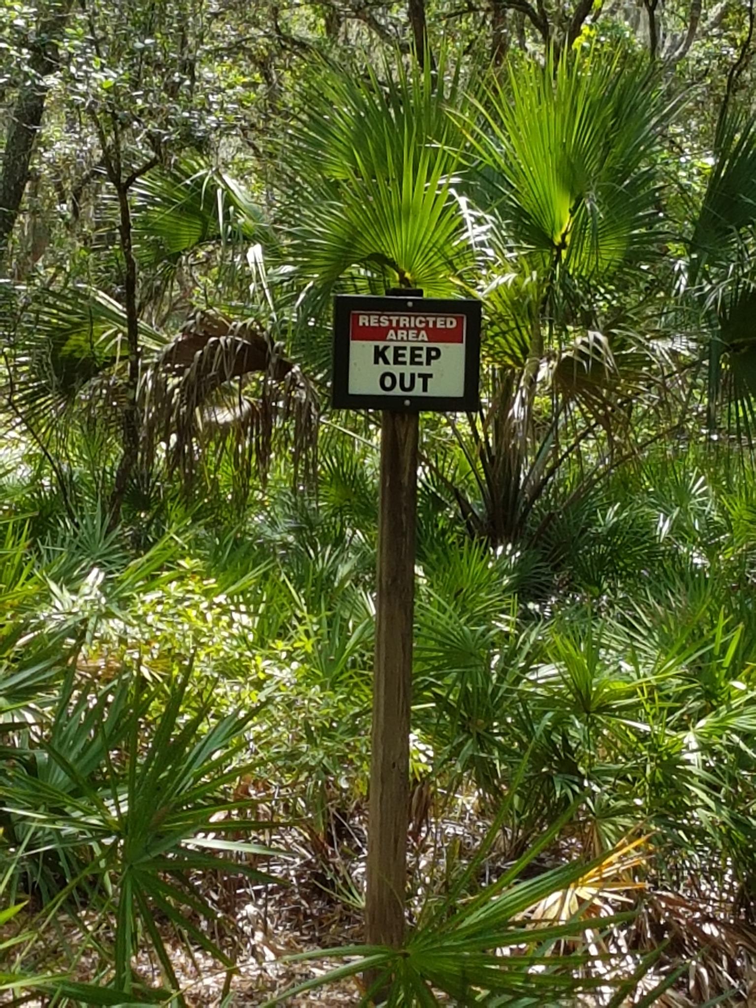 Restricted Area Keep Out sign amidst lush green palm plants.