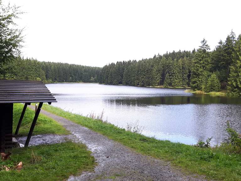Bärenbrucher Teich (HWN 137) wandelroutes en hikes Komoot