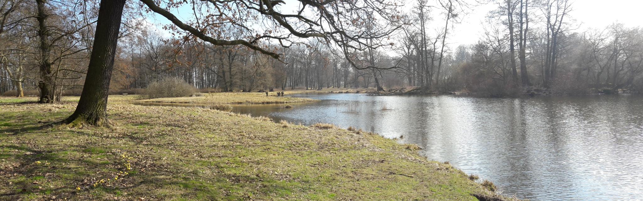 Lenné-Park Blumberg Routes For Walking And Hiking | Komoot