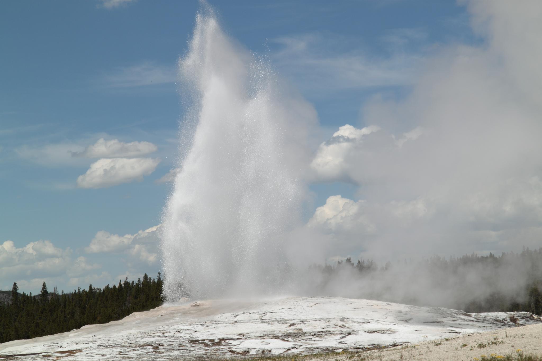 A large geyser erupts powerfully into the blue sky with white clouds.