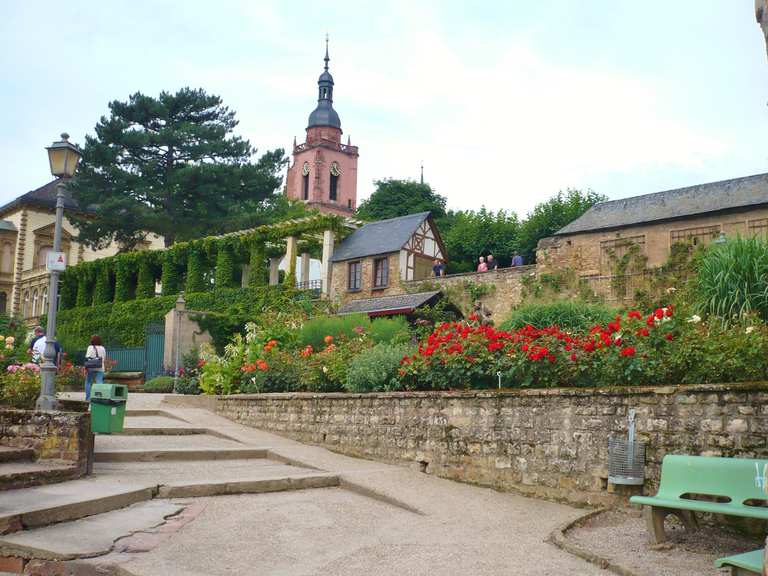 Eltville am Rhein Wanderungen und Rundwege komoot
