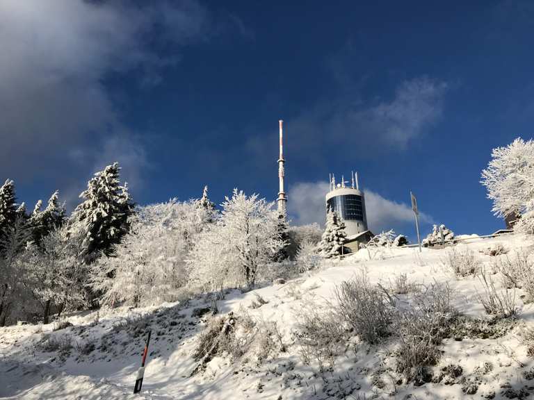 Großer Inselsberg: Wanderungen und Rundwege | komoot