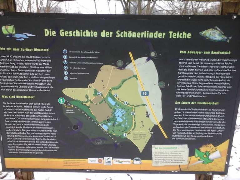 Löwenzahnpfad im NSG Schönerlinder Teiche Itinéraires de rando et