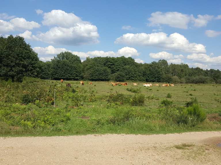 Wahner Heide Rösrath, RheinischBergischer Kreis