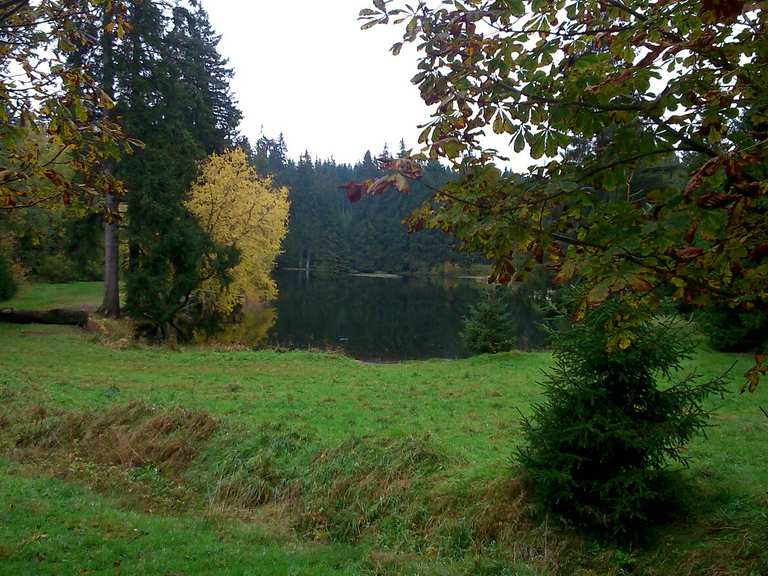 Ochsenbacher Teich Routes for Walking and Hiking Komoot