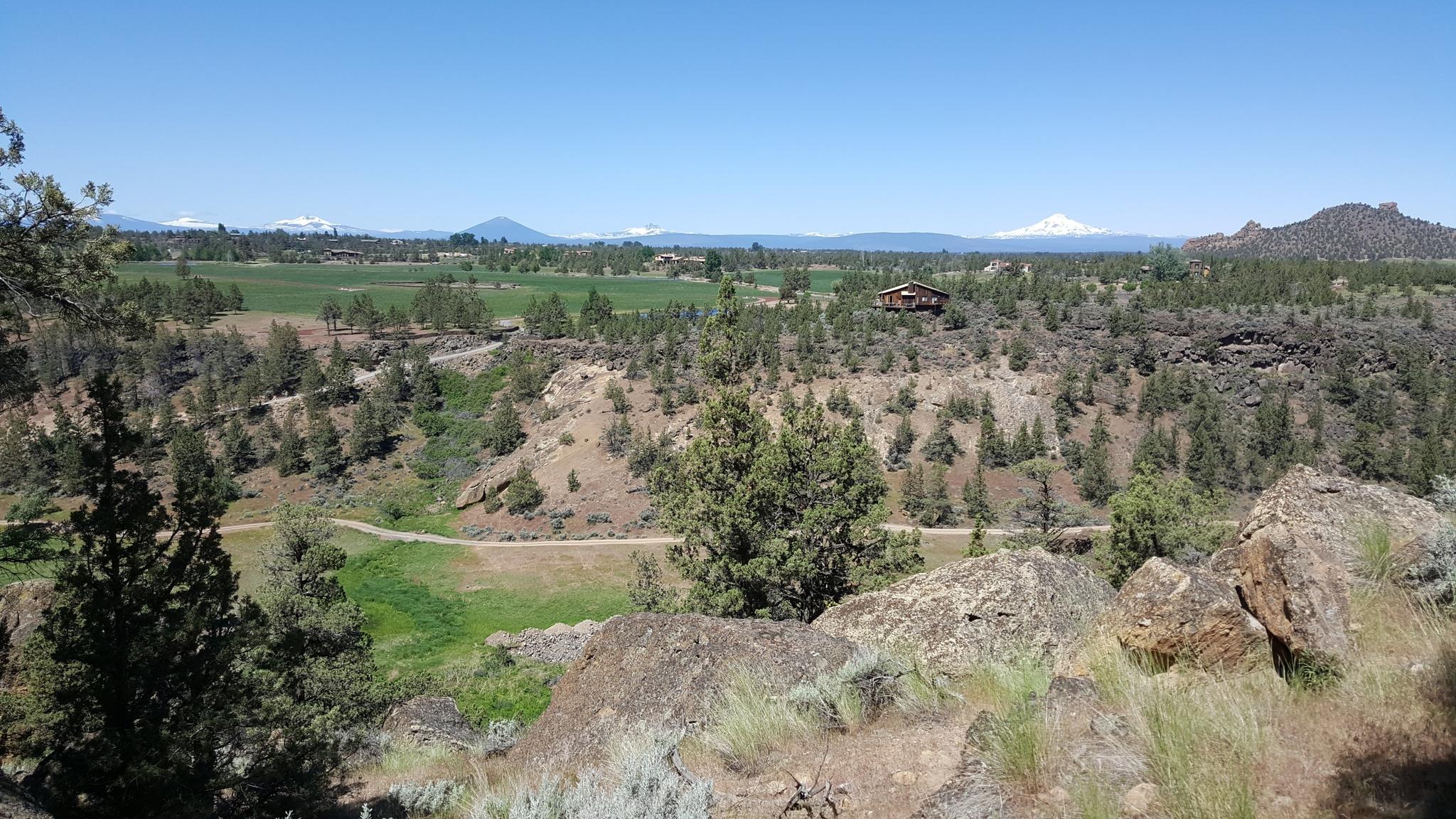 A scenic valley with green fields, trees, and distant snow-capped mountains.