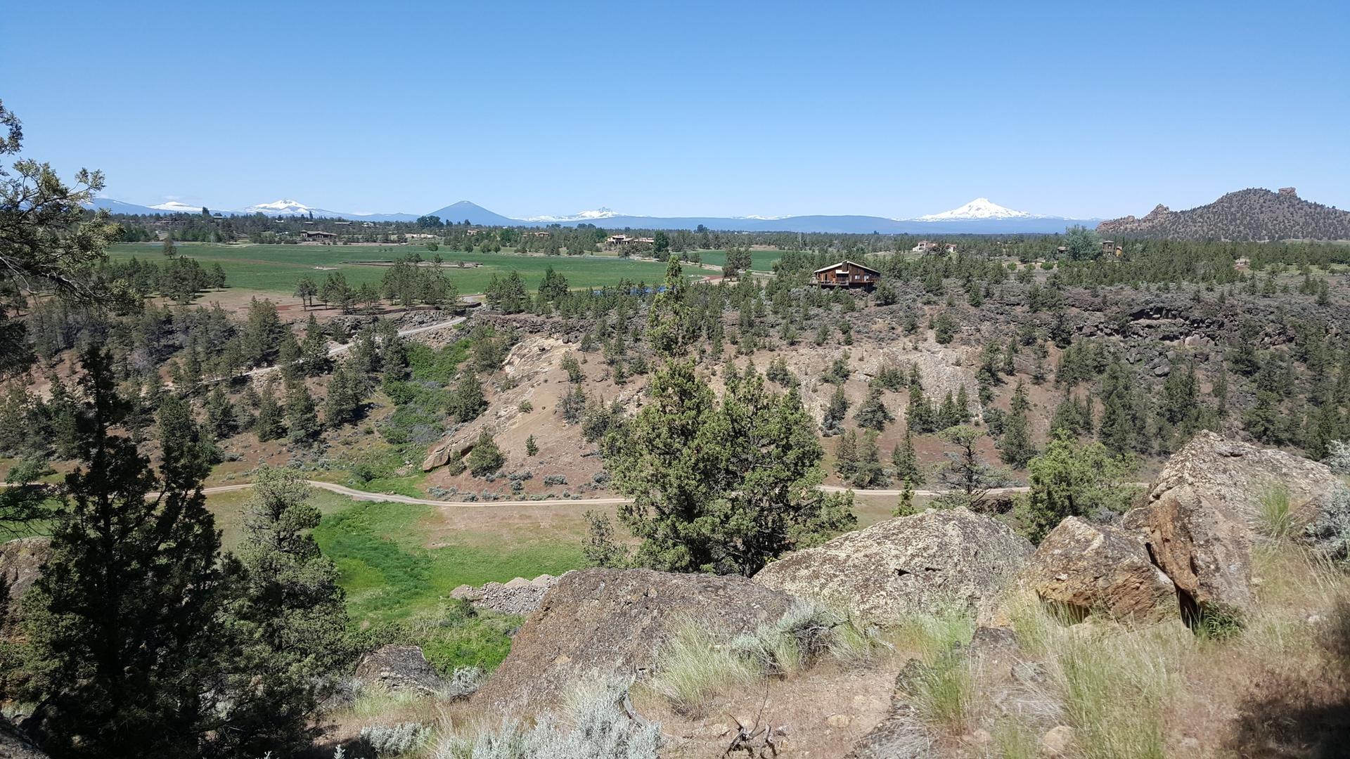 A scenic valley with green fields, trees, and distant snow-capped mountains.
