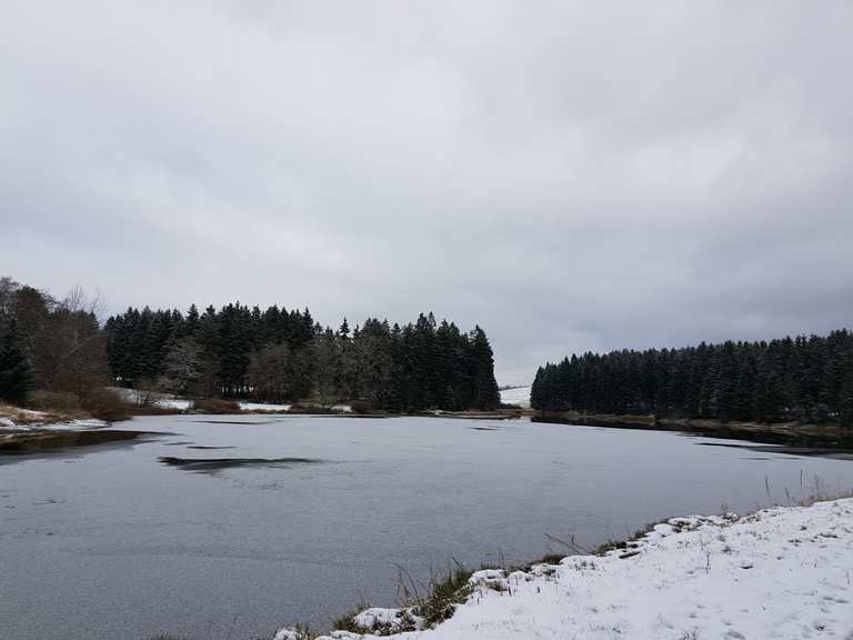 Schwarzenbacher Teich Routes for Walking and Hiking Komoot