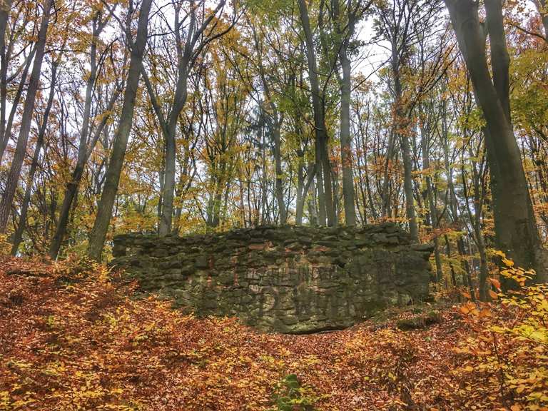 Burgruine Schauerberg MountainbikeTouren und Trails komoot