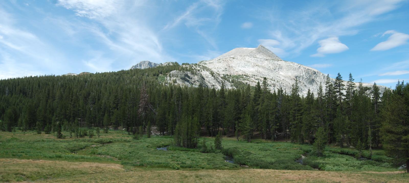 Panoramic view of a large, light-colored mountain above a dense pine forest.