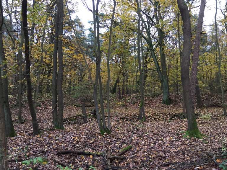 Naturschutzgebiet Murellenschlucht und Schanzenwald Routes for Walking ...