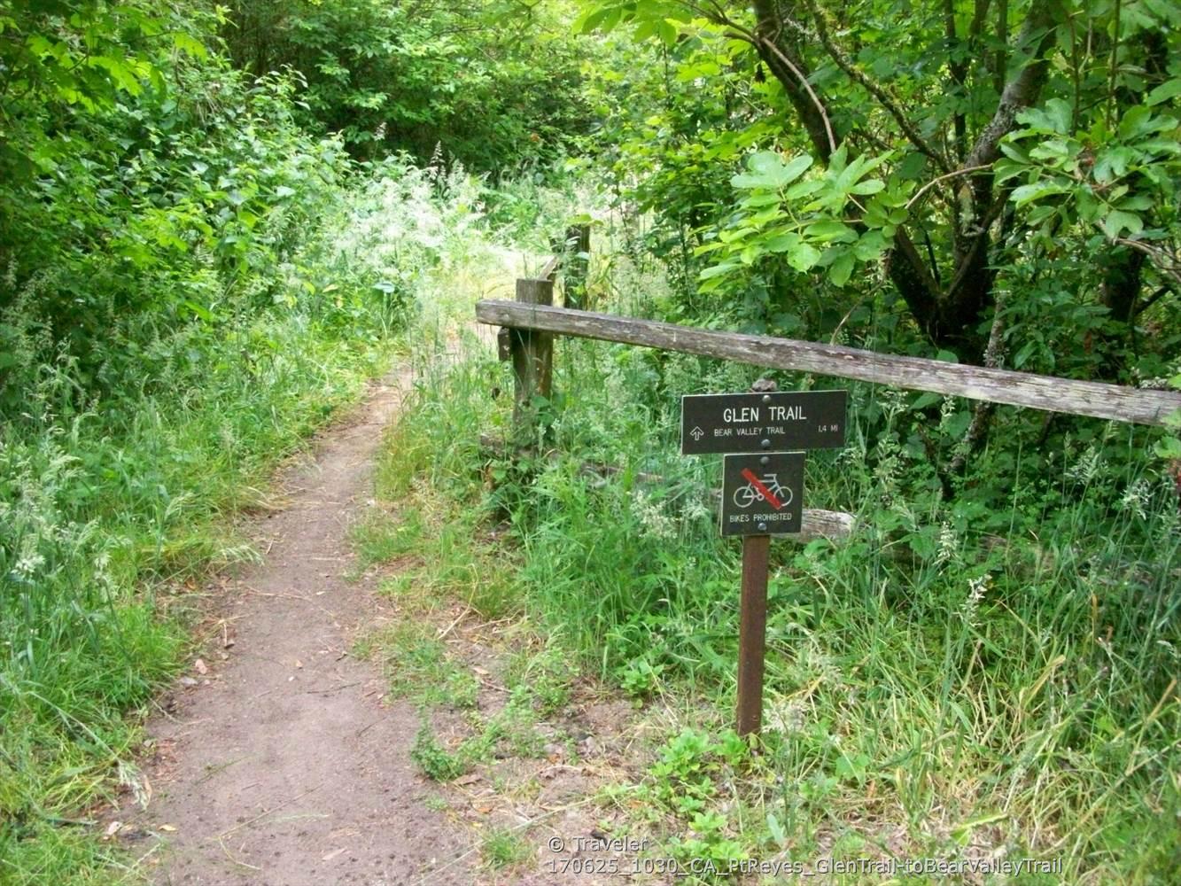 Dirt path entering a lush green forest with a wooden barrier and trail sign.