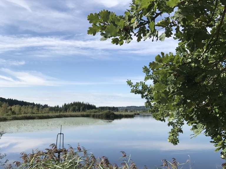 Maisinger See - Itinéraires vélo et carte | Komoot